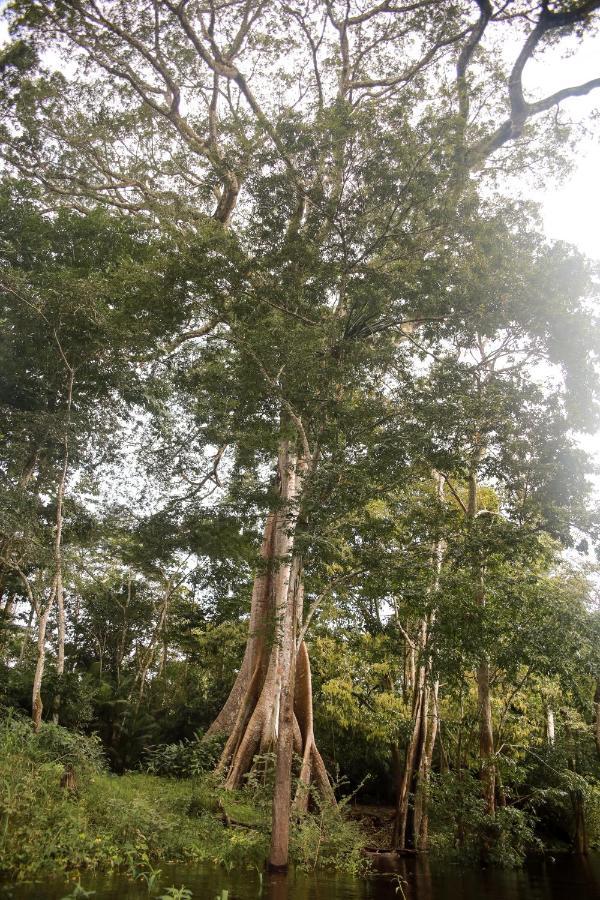 Amazonia Jungle Hotel Iranduba Екстер'єр фото